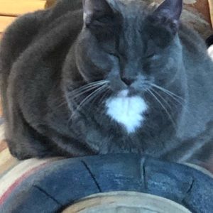 Meet your Posher, Lori